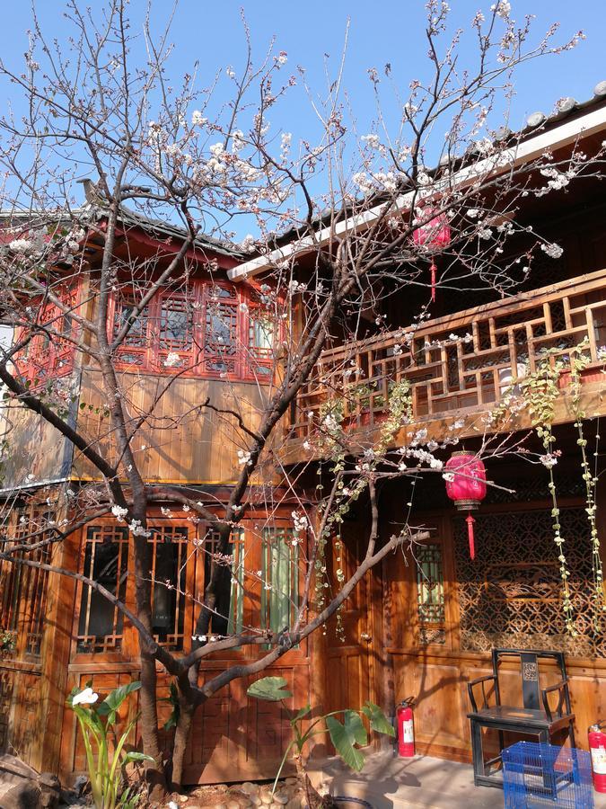 Runtong International Youth Hostel Lijiang  Exteriör bild